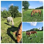 Nocleg ze śniadaniem Les De La Forge Des Collines Les Herbiers
