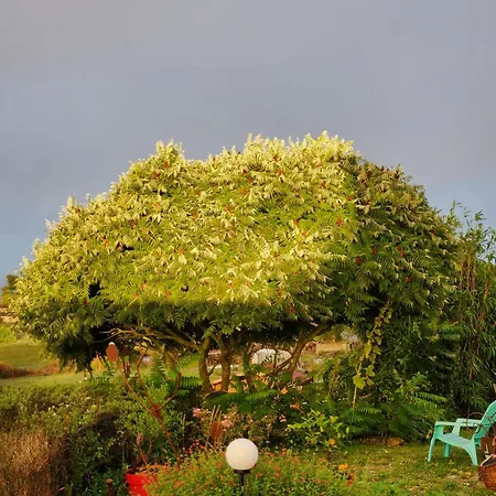 Les De La Forge Des Collines Bed and breakfast