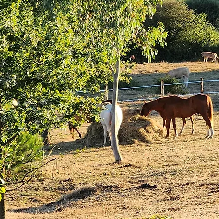 Bed & Breakfast Les De La Forge Des Collines Les Herbiers