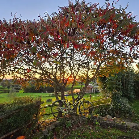 Les De La Forge Des Collines 3* Les Herbiers