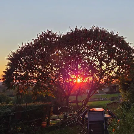 Les De La Forge Des Collines Bed & Breakfast
