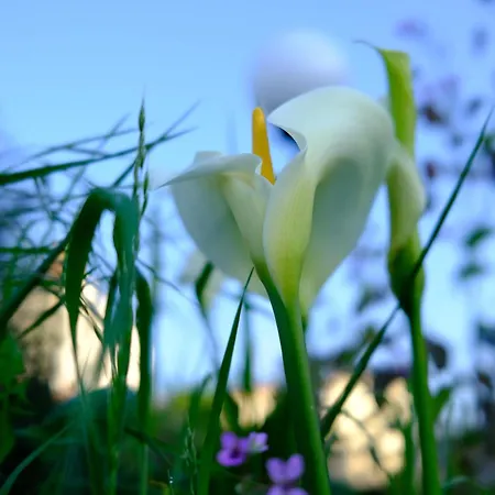 Bed & Breakfast Les De La Forge Des Collines