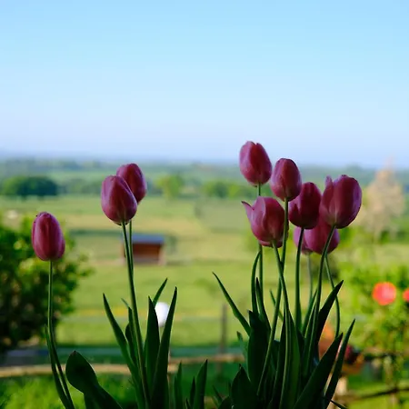 Les De La Forge Des Collines Frühstückspension 3*