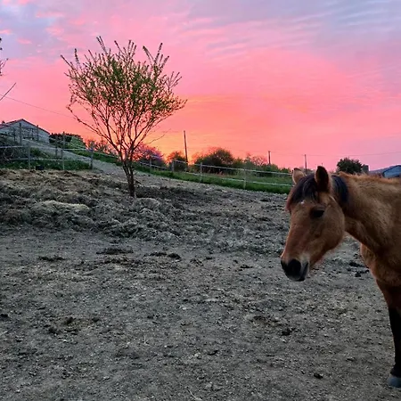 Frühstückspension Les De La Forge Des Collines Les Herbiers
