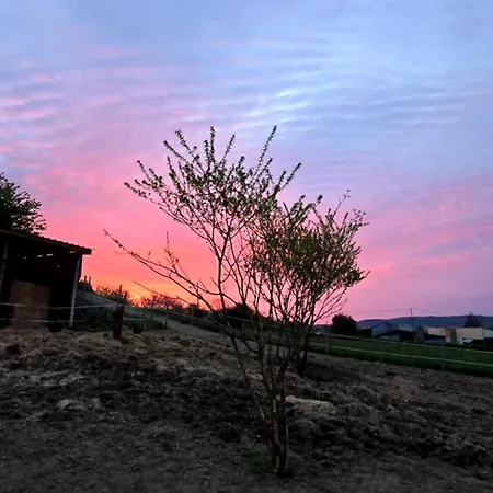 Bed & Breakfast Les De La Forge Des Collines 3*