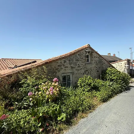 Les De La Forge Des Collines לז הרבייה