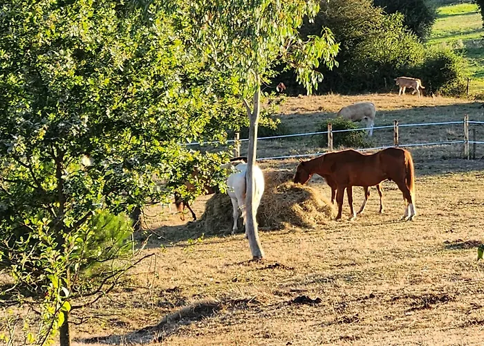 住宿加早餐酒店 莱斯德拉佛支德科林斯旅馆 莱塞比耶