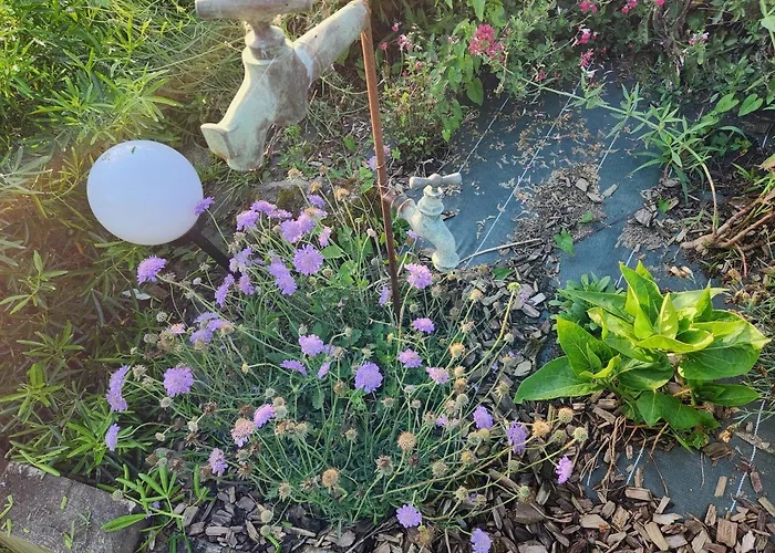 Les De La Forge Des Collines Les Herbiers