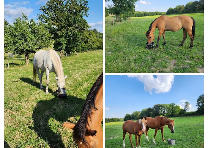 Couette-café Les De La Forge Des Collines Les Herbiers