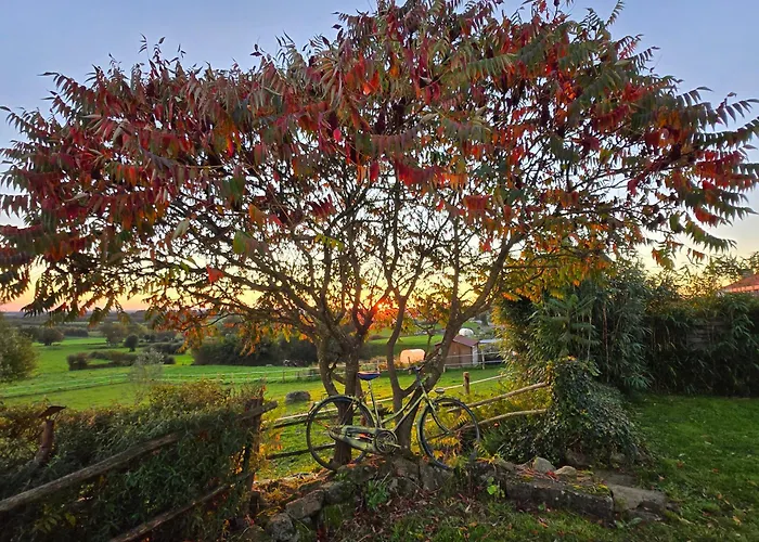 莱斯德拉佛支德科林斯旅馆 3* 莱塞比耶