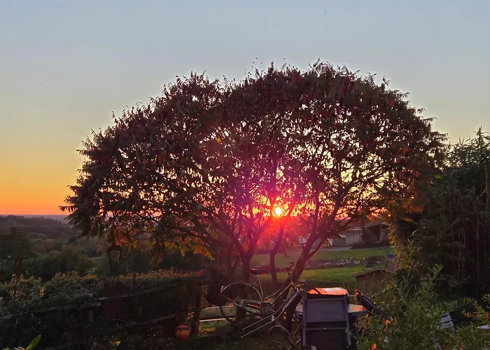 莱斯德拉佛支德科林斯旅馆 住宿加早餐酒店