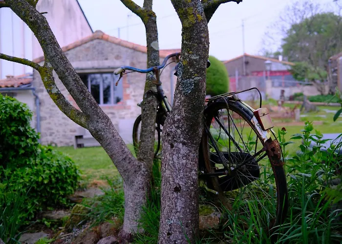 莱斯德拉佛支德科林斯旅馆 3* 莱塞比耶