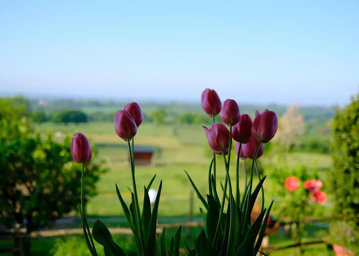 莱斯德拉佛支德科林斯旅馆 住宿加早餐酒店 3*