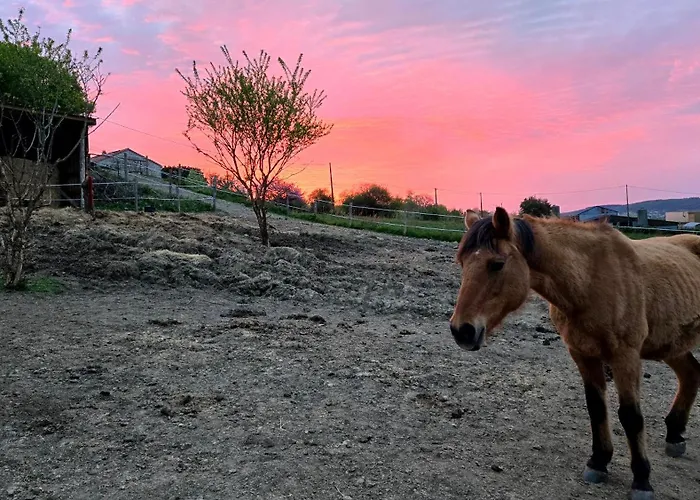 住宿加早餐酒店 莱斯德拉佛支德科林斯旅馆 莱塞比耶