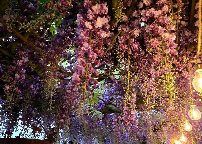 莱斯德拉佛支德科林斯旅馆 住宿加早餐酒店 3*