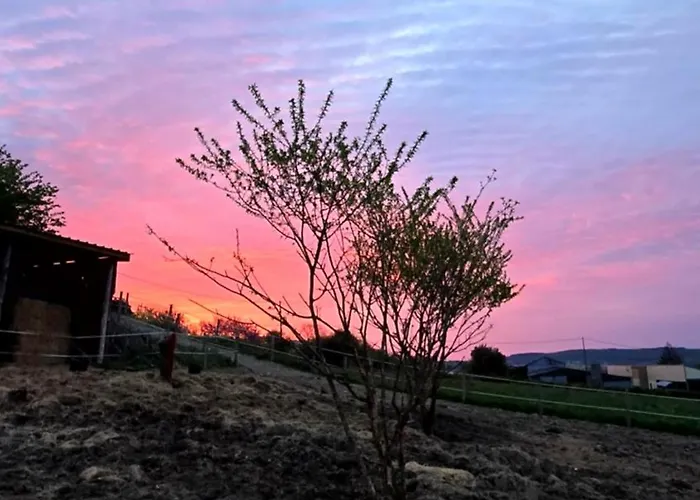 住宿加早餐酒店 莱斯德拉佛支德科林斯旅馆 3*